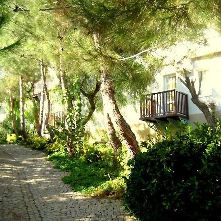 리조트 Teos Village 4*