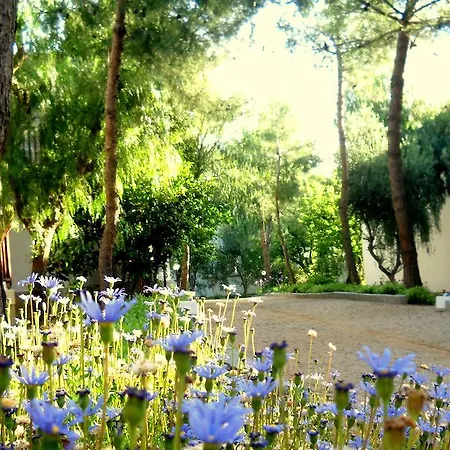 Θέρετρο Teos Village 4*