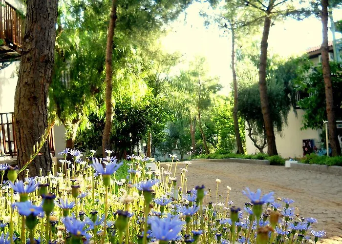 Resort Teos Village 4*