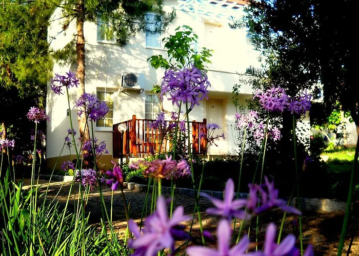 Teos Village Resort Seferihisar